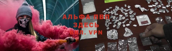 стафф Арсеньев