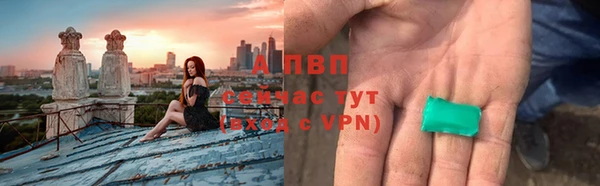 стафф Арсеньев