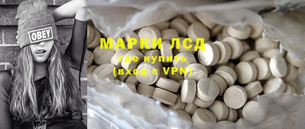 стафф Арсеньев